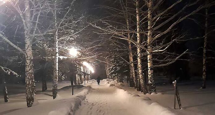 зима парк