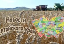 Управление Росреестра по Алтайскому краю напоминает: 1 марта 2026 года вступает в силу Федеральный закон от 31.07.2025 № 295-ФЗ, вносящий существенные изменения в Земельный и Градостроительный кодексы Российской Федерации